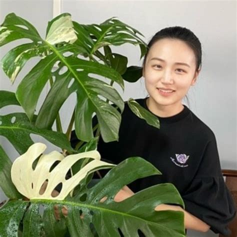 不怕西曬 植物|西曬陽台植物推薦 – 陳家立葉 Chens Plant